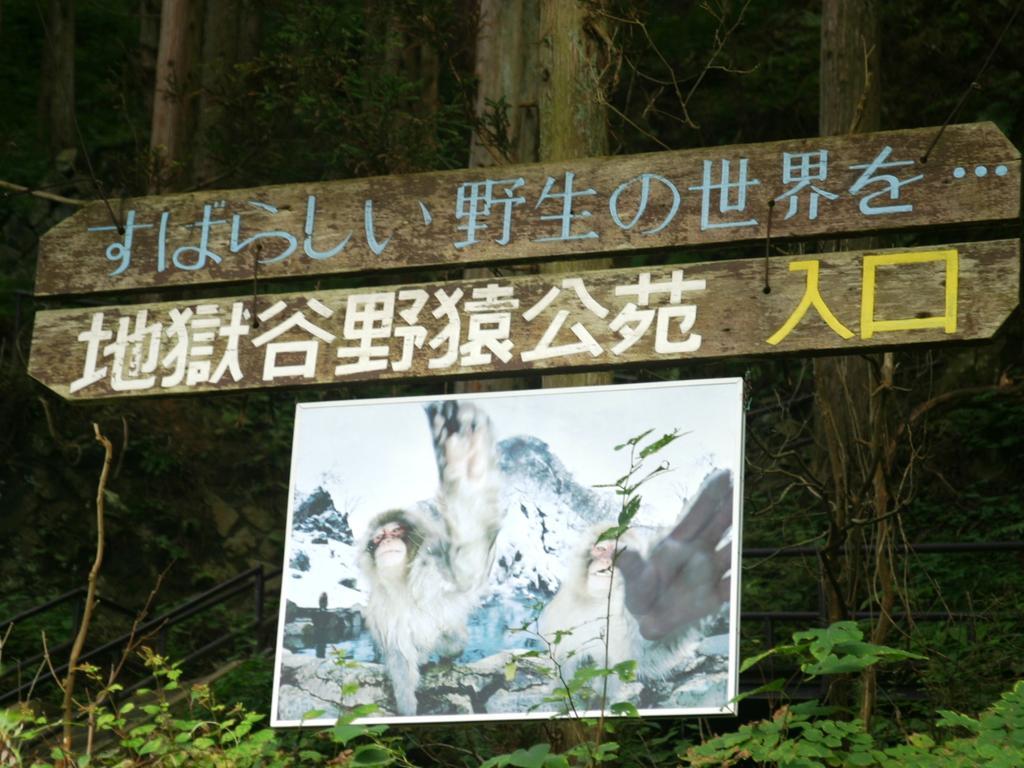 Youdaya Yamanouchi (Nagano) Bagian luar foto